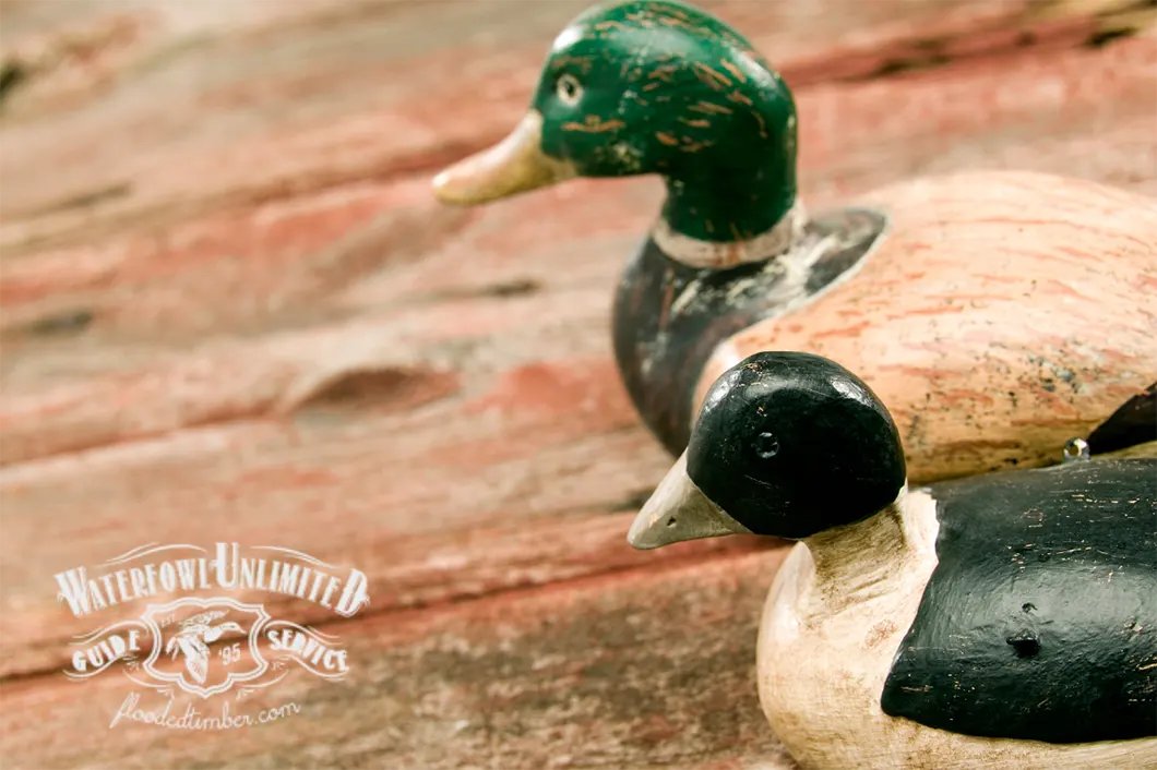 Two wooden ducks sitting on a wooden surface.