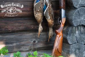 Two ducks hung upside down on a wooden wall beside a shotgun with a polished wooden stock. A "Waterfowl Unlimited Guide Service" sign is visible in the corner.