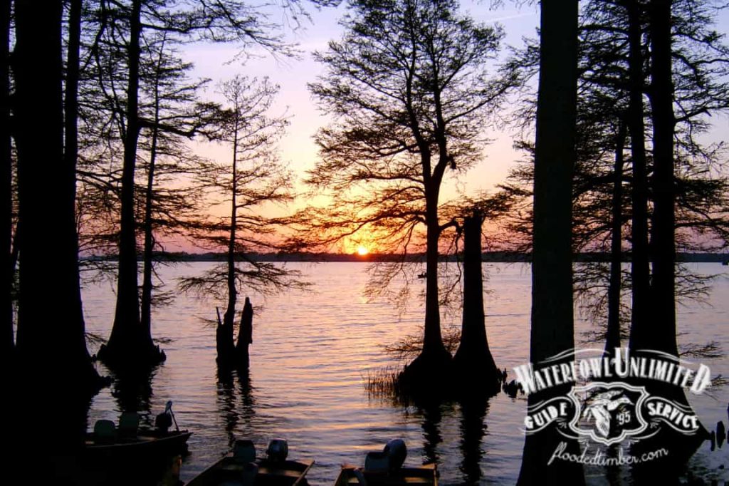 Sunset over a lake with tall trees in the water, boats at the shore, and a "Waterfowl Unlimited Guide Service" logo in the bottom right corner.