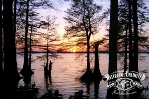 Sunset over a lake with tall trees in the water, boats at the shore, and a "Waterfowl Unlimited Guide Service" logo in the bottom right corner.