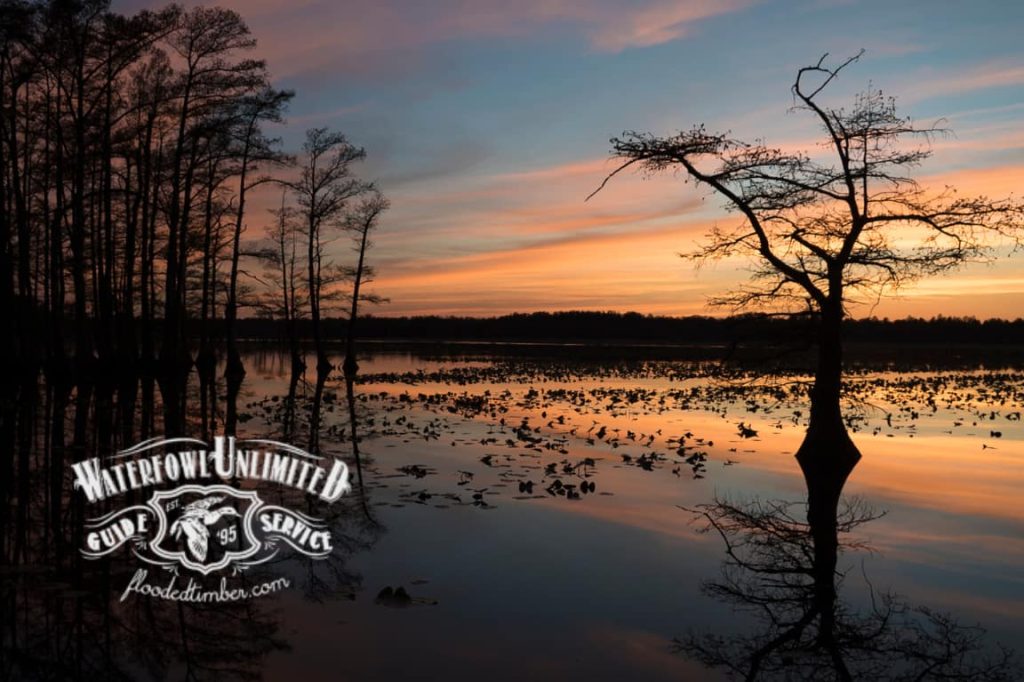 A calm lake at sunset with leafless trees reflected in the water; Waterfowl Unlimited Guide Service logo is overlaid in the bottom left corner.