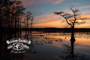 A calm lake at sunset with leafless trees reflected in the water; Waterfowl Unlimited Guide Service logo is overlaid in the bottom left corner.