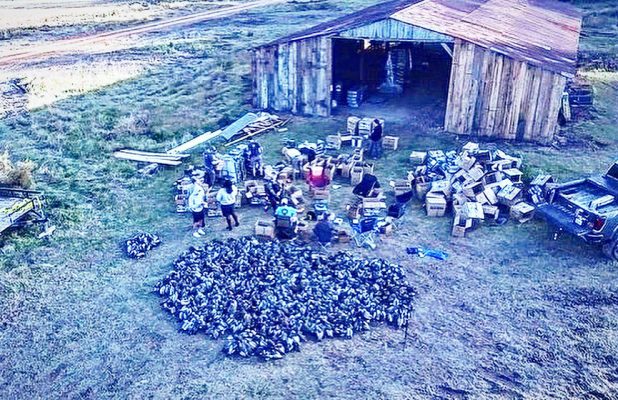 An aerial view of people sorting boxes and supplies outside a weathered wooden barn, with a large pile of dark objects gathered on the grass nearby.