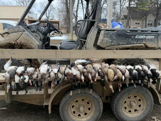 A row of harvested ducks hangs from the side of a trailer attached to a muddy off-road vehicle, with buildings and leafless trees in the background.