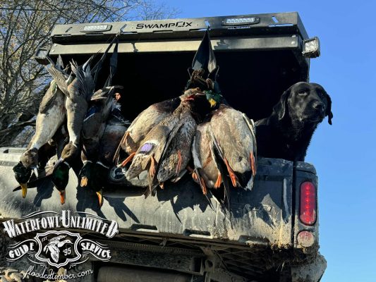 A black dog sits in the back of a truck next to several hunted ducks hanging from the open tailgate. The Waterfowl Unlimited Guide Service logo is visible in the corner.