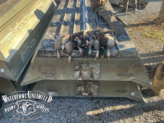 Seven ducks are lined up on the back of a metal utility vehicle, with sunlight casting shadows. The Waterfowl Unlimited Guide Service logo is visible in the lower left corner.