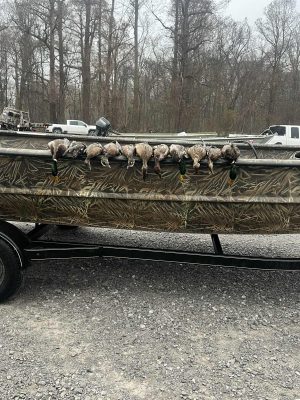 A row of harvested ducks is lined up on the side of a camouflage boat, which is on a trailer parked on gravel with trees and vehicles in the background.