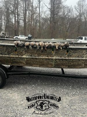 A row of ducks is lined up on the side of a camouflage boat on a trailer, with trees and vehicles in the background. The logo "Waterfowl Unlimited Guide Service" is visible at the bottom.
