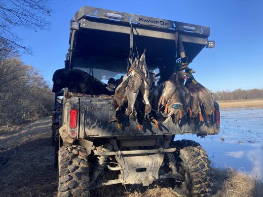 A utility vehicle parked by a flooded field with several ducks hanging from the open tailgate, indicating a successful hunt.
