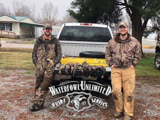 Best Lake Reelfoot Tiptonville Duck hunt _ Flooded Timber
