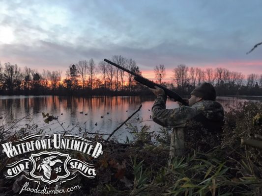 Best Lake Reelfoot Tiptonville Guided duck hunts _ Flooded Timber