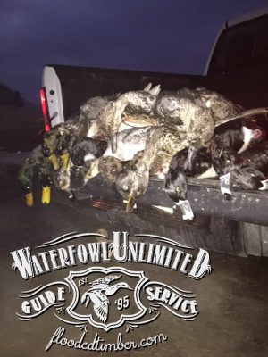 Best Reelfoot lake TN Guided duck hunts _ Flooded Timber
