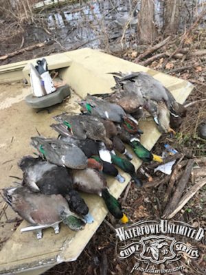 Best Reelfoot lake Tiptonville Duck hunt _ Flooded Timber
