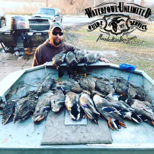 Best Reelfoot lake Tiptonville Duck hunting trips _ Flooded Timber