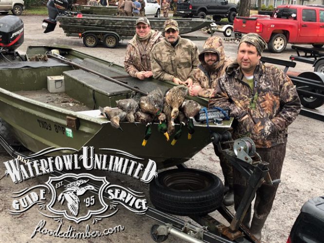 Best Reelfoot lake Tiptonville Guided duck hunt _ Flooded Timber