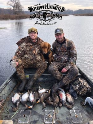 Duck hunt Reelfoot lake _ Flooded Timber