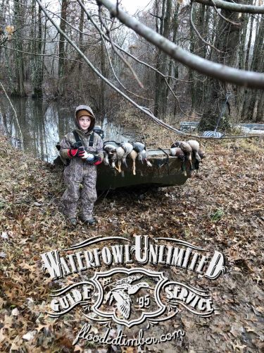 Duck hunting on Lake Reelfoot _ Flooded Timber