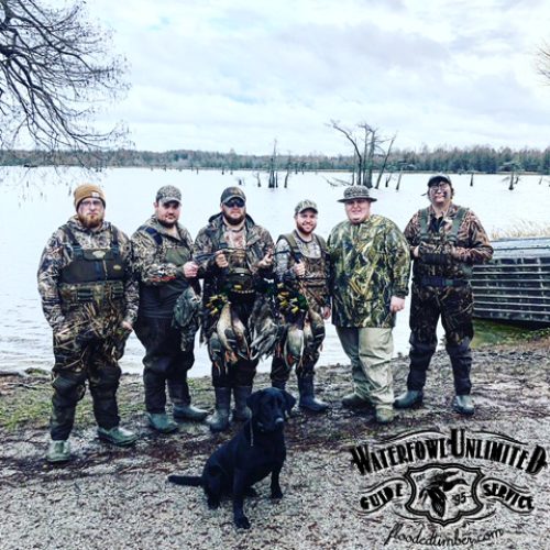 Duck hunts on Reelfoot lake _ Flooded Timber