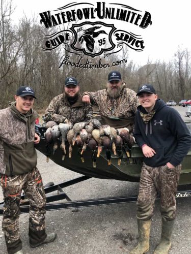Guided duck hunting Lake Reelfoot _ Flooded Timber