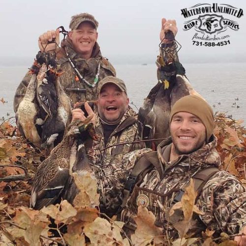 Hunting Reelfoot lake _ Flooded Timber