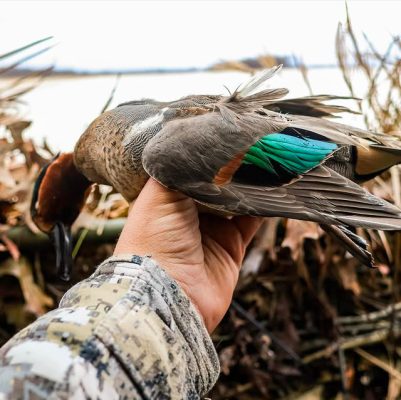 A person in camouflage clothing holds a duck with brown, gray, and green feathers near dried reeds outdoors.