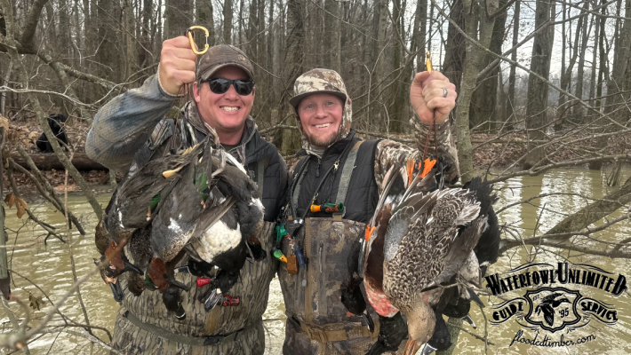 Two smiling hunters in camouflage gear stand in a flooded forest holding numerous harvested ducks. A "Waterfowl Unlimited Guide Service" logo is on the lower right corner.