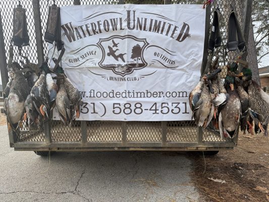 Several harvested ducks are hanging in front of a "Waterfowl Unlimited" hunting club banner displayed on a trailer.