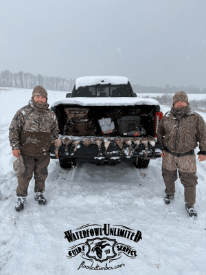 Two people in winter camouflage stand beside a snow-covered truck bed displaying several hunted ducks, with hunting gear and coolers visible in the truck. Snowy landscape in the background.
