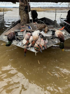 A group of hunted ducks displayed on the bow of a camouflaged boat docked in murky water, with reeds and marshland visible in the background.