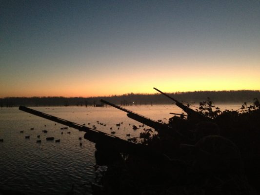 Lake Reelfoot TN Public duck hunts _ Flooded Timber