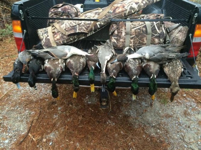 Lake Reelfoot Tiptonville Guided duck hunt _ Flooded Timber