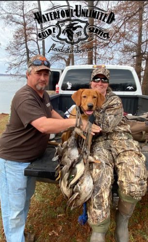 Public duck hunting Reelfoot lake _ Flooded Timber