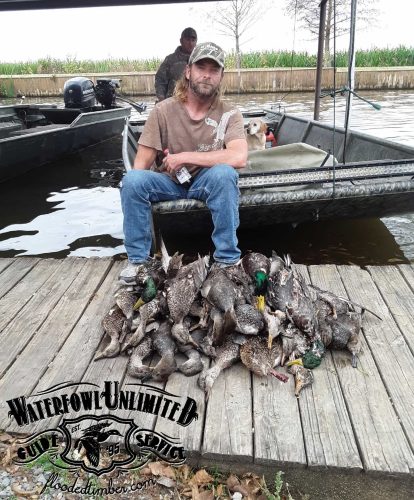 Public duck hunts Reelfoot lake _ Flooded Timber