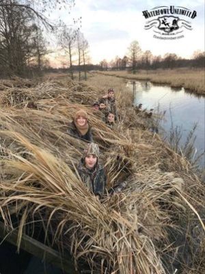Reelfoot lake Guided duck hunts _ Flooded Timber