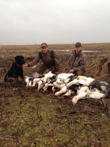 Reelfoot lake Tiptonville Guided duck hunting _ Flooded Timber