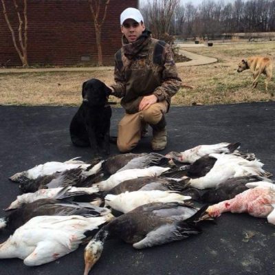 Reelfoot lake Tiptonville Public duck hunts _ Flooded Timber
