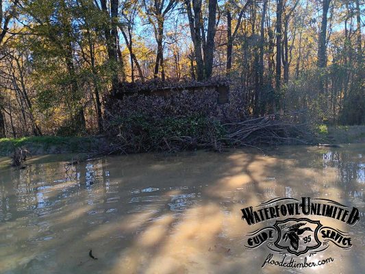 A wooden duck blind camouflaged with branches sits on the edge of a flooded forest area. The Waterfowl Unlimited Guide Service logo is in the lower right corner.