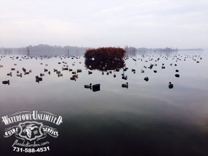 reelfoot duck guide mike newsom 1 copy